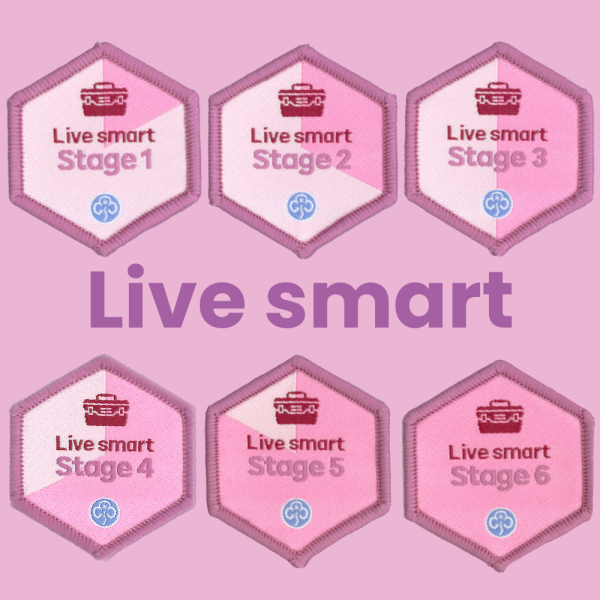 Skills builder woven badges - live smart