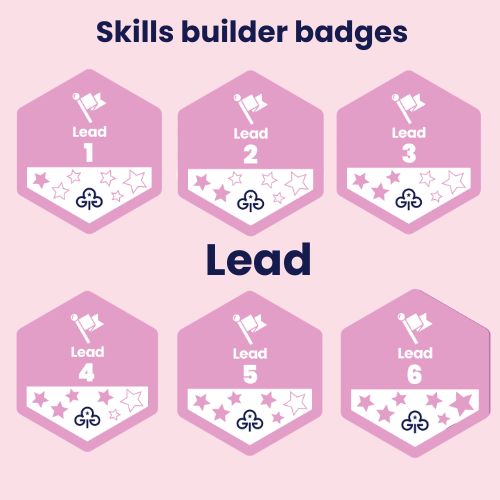 Skills builder woven badges - lead