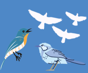 image relating to Brilliant Birds Activity Pack