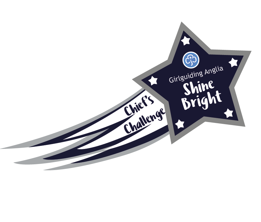 image relating to Shine Bright Chief's Challenge