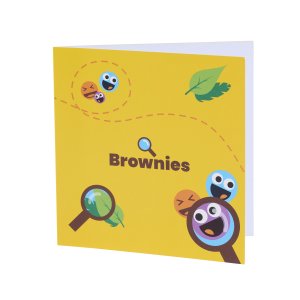 BROWNIE CARDS - 6 PACK