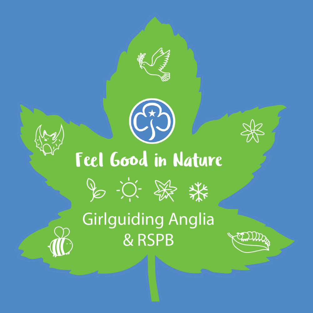 image relating to 2023 Feel Good In Nature Challenge Pack