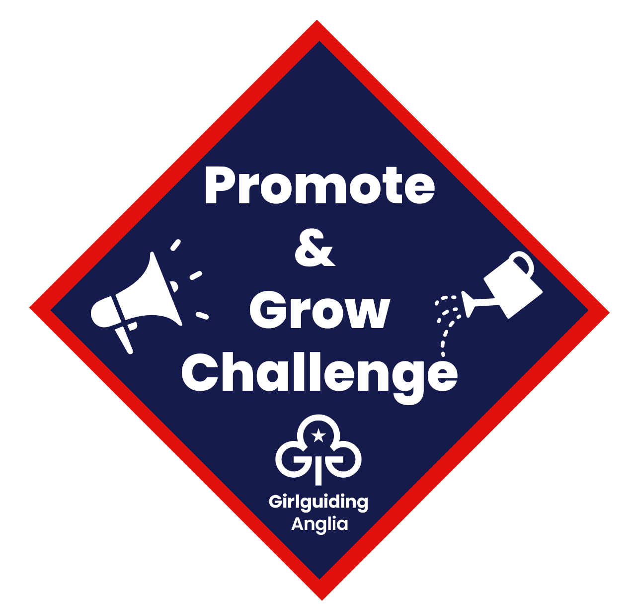 image relating to Promote and Grow Challenge