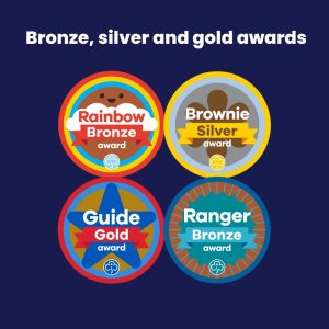 Leader Only - Gold, Silver and Bronze awards
