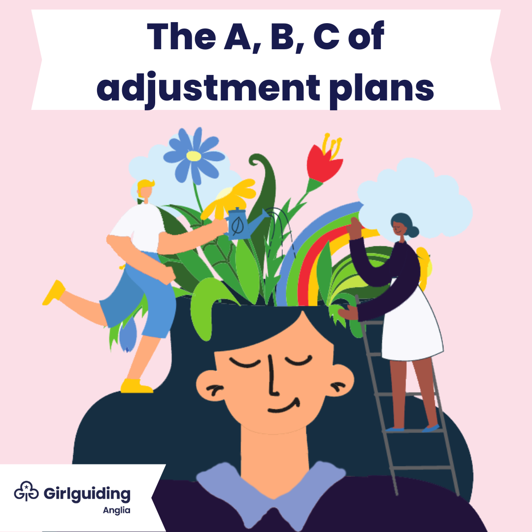adjustment plans