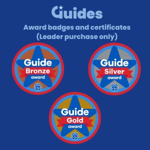 Guide Section Awards