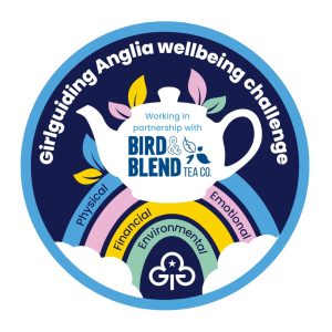 Girlguiding Anglia wellbeing challenge badge