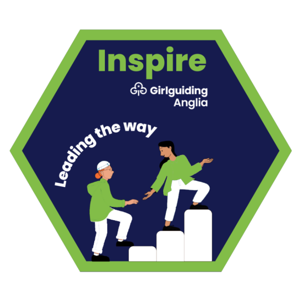 Inspire - Leading the way badge
