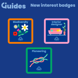 New Guides interest badges