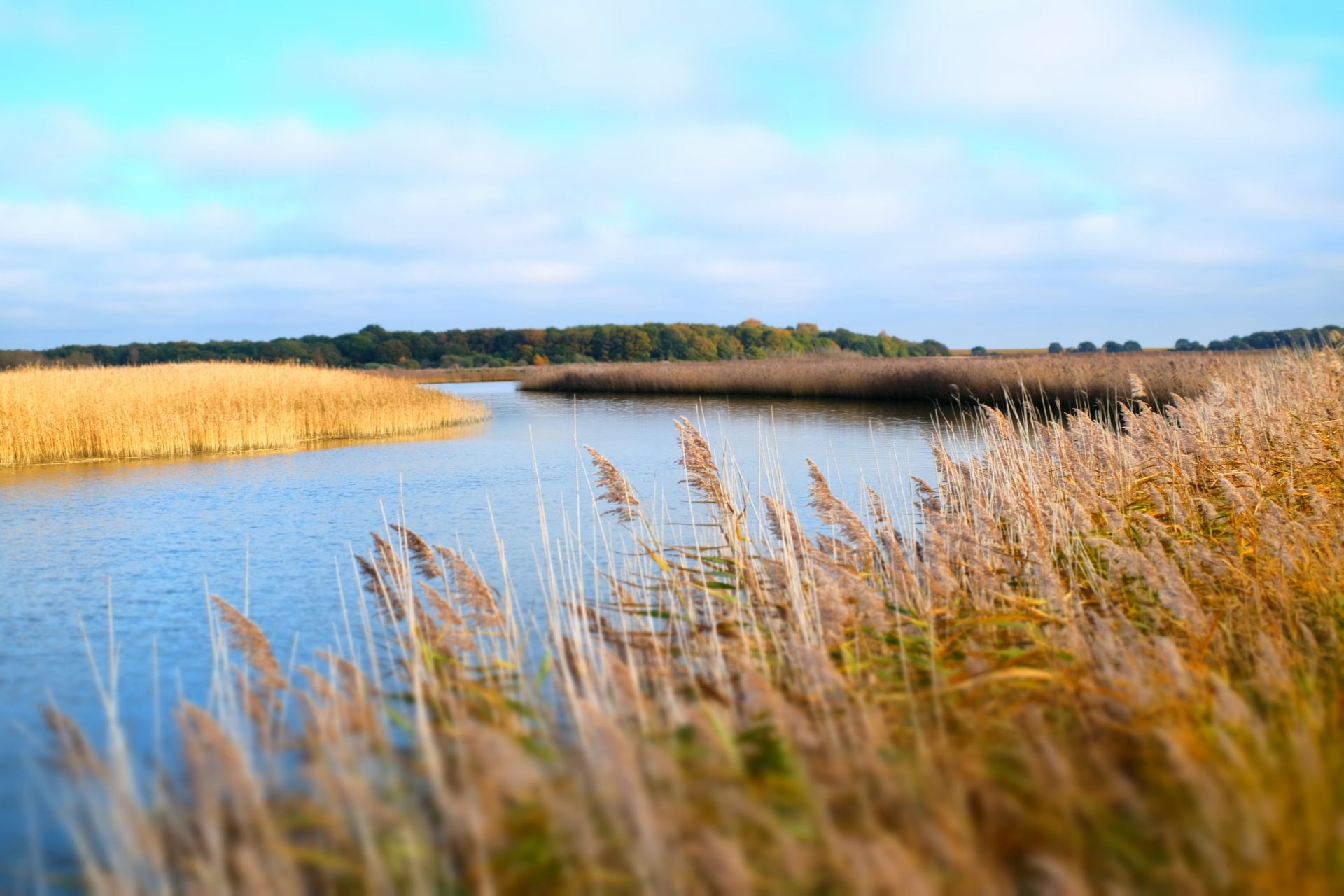 image relating to Suffolk
