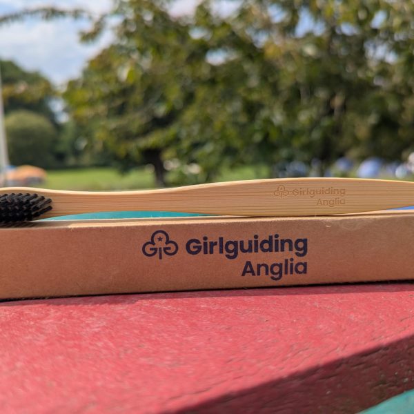 Girlguiding Anglia Bamboo Toothbrush - Image 2