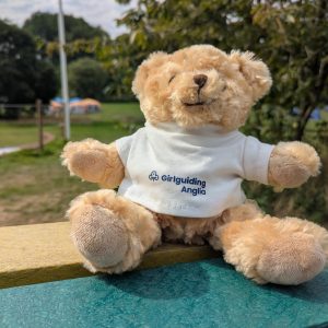 Girlguiding Anglia Teddy bear's T-shirt
