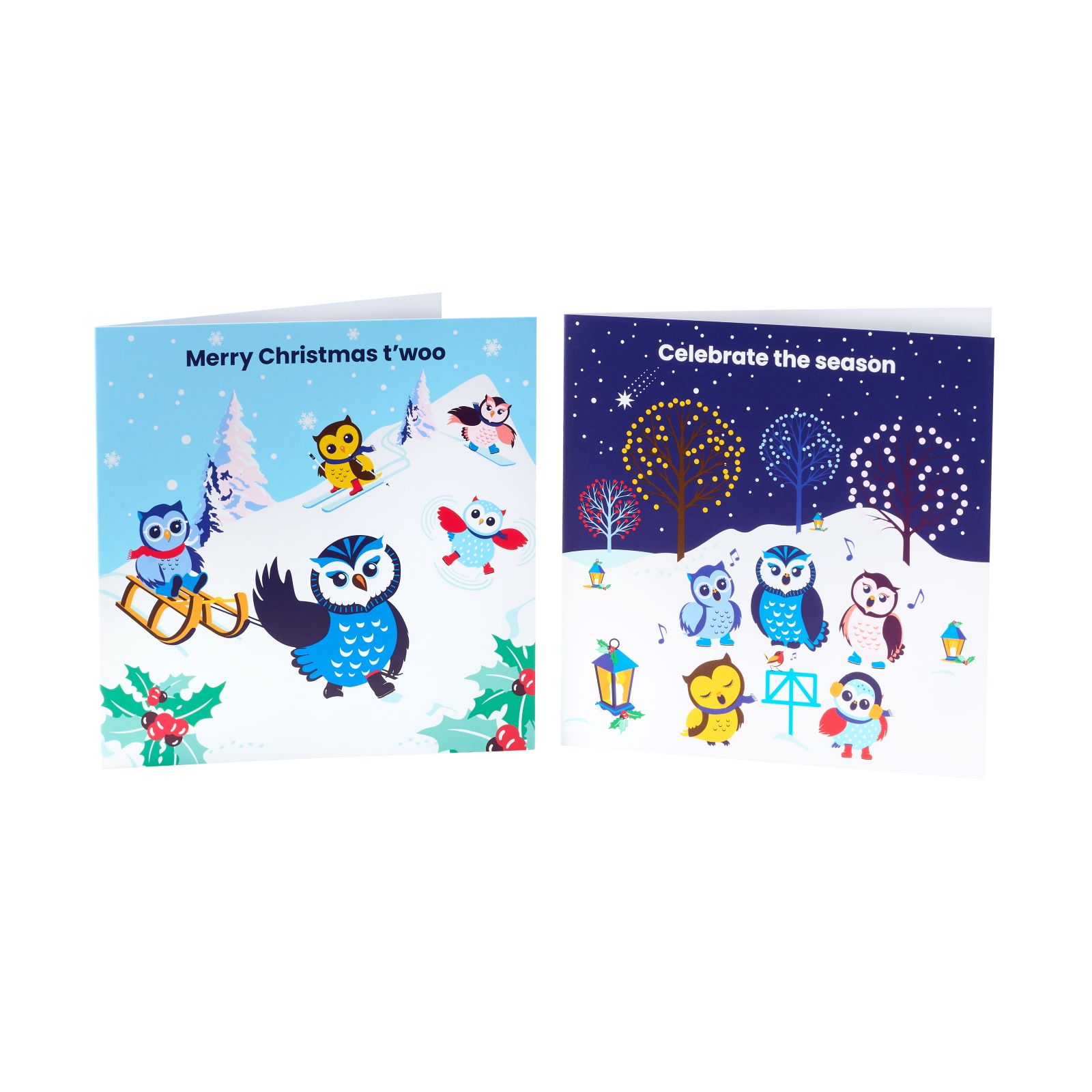 Christmas Cards 2025 (8 pack)