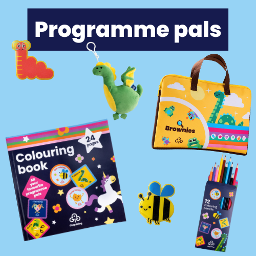 Programme pals