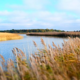 image relating to Suffolk