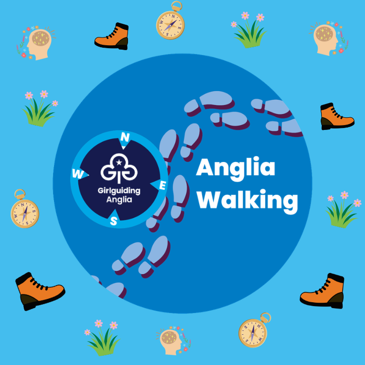 image relating to Walking Events