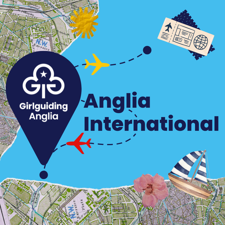 image relating to International