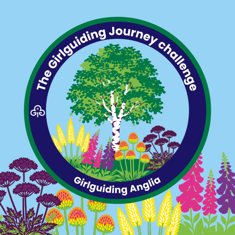 image relating to The Girlguiding Journey challenge