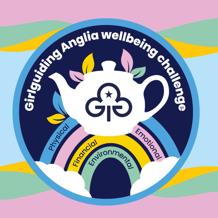 image relating to Wellbeing challenge