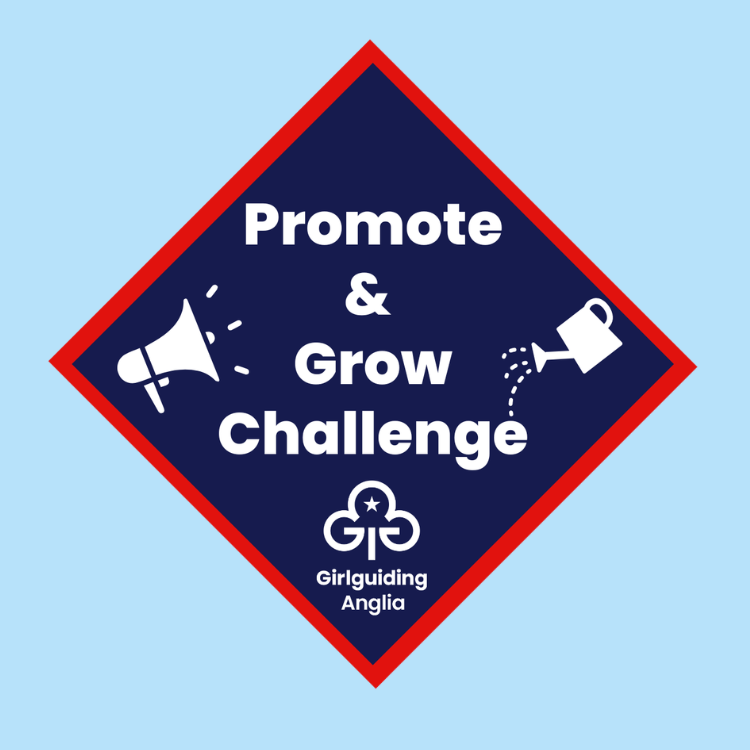 image relating to Promote and grow