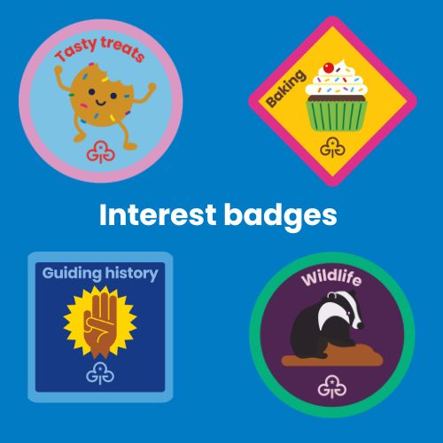Interest badges