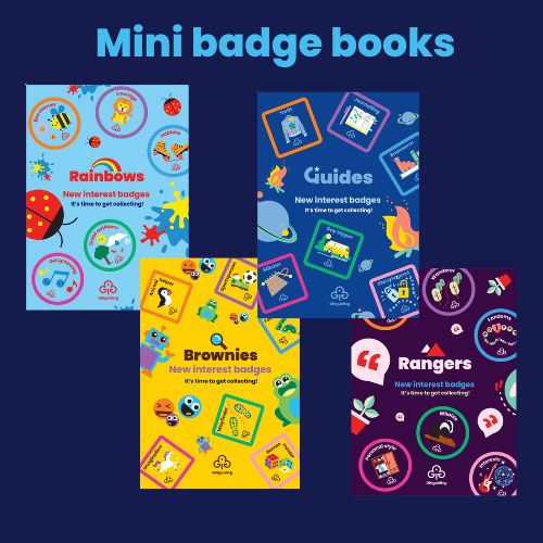 Mini badge books