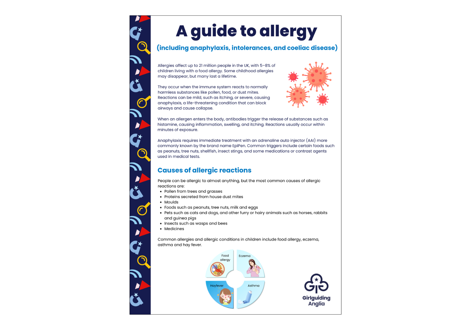 image relating to Allergy fact sheet